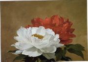 unknow artist Still life floral, all kinds of reality flowers oil painting 34 Sweden oil painting artist